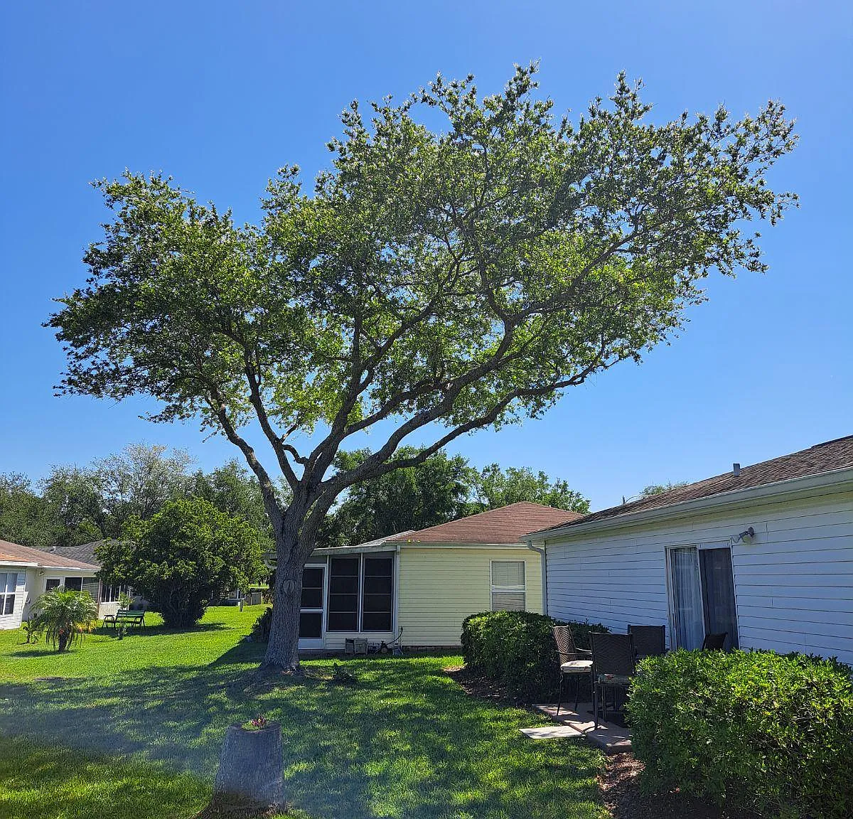 2 bed, 750 sqft, $1,500 — Photo 4