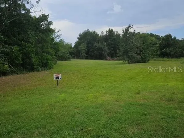 26116 ESTATES RIDGE DRIVE LOT 115, SORRENTO, FL 32776