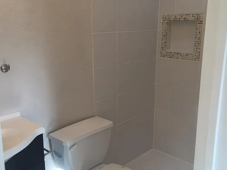 Master bath room tile shower