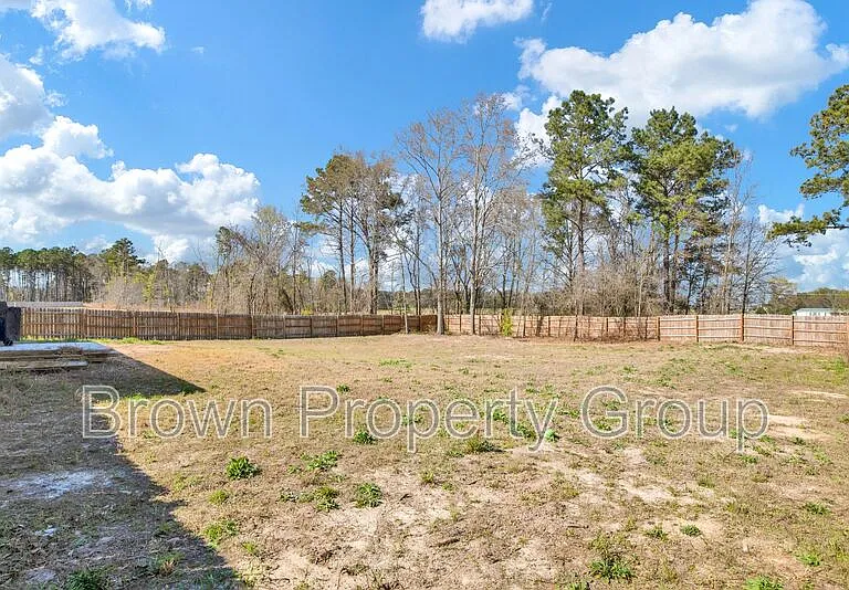 52 Dalmation Ln — Photo 30