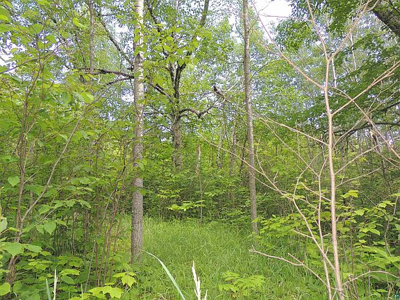 5th image of 76 Murphy Dr Lot 3 Block 1