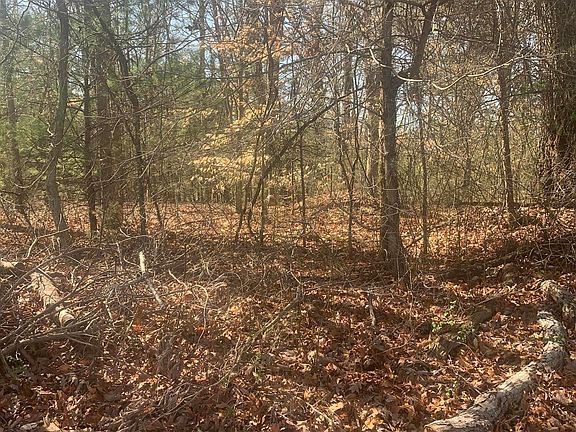 5th image of Jr Gray Rd