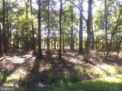 LOT 71 Seth Ave, Tilghman, MD, 21671