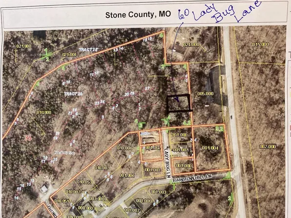 60 Lady Bug Lane, Reeds Spring, MO 65737