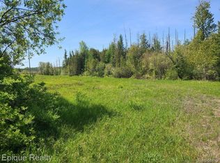 0 Hebron Mail Route Rd, Cheboygan, MI 49721