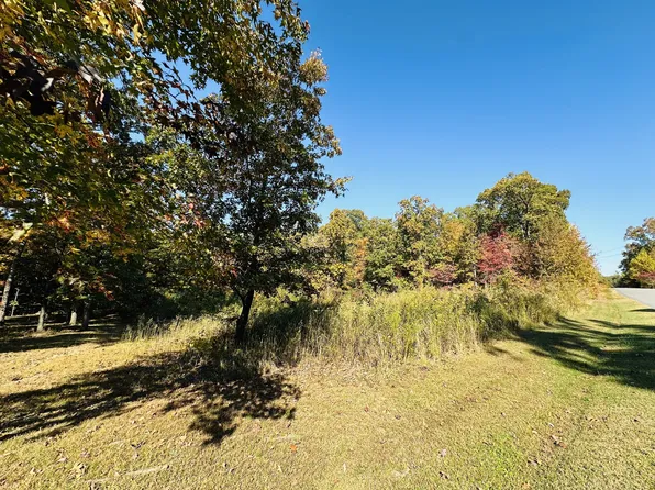 0 Carl Willis Rd Lot 319, Flintville, TN 37335