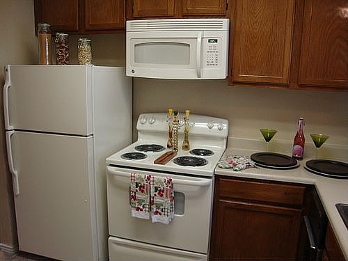 4th image of 1301 Meadow Creek Dr