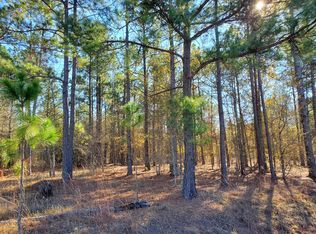 1153 Hidden Oak Dr, Manning, SC 29102