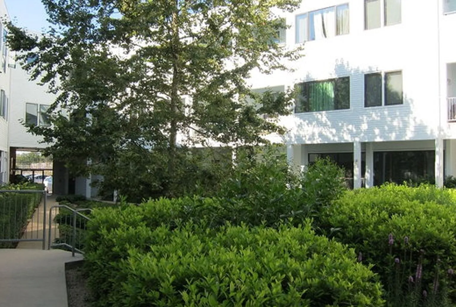 314 ELEVATION — Photo 3