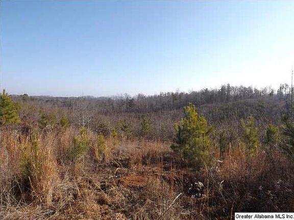 5th image of County Road 286