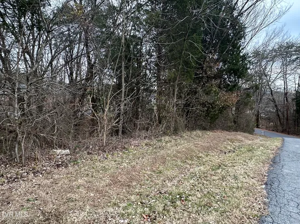 Lowrance Dr, Kingsport, TN 37660