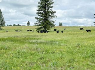 1 Starvation Rd, Enterprise, OR 97828