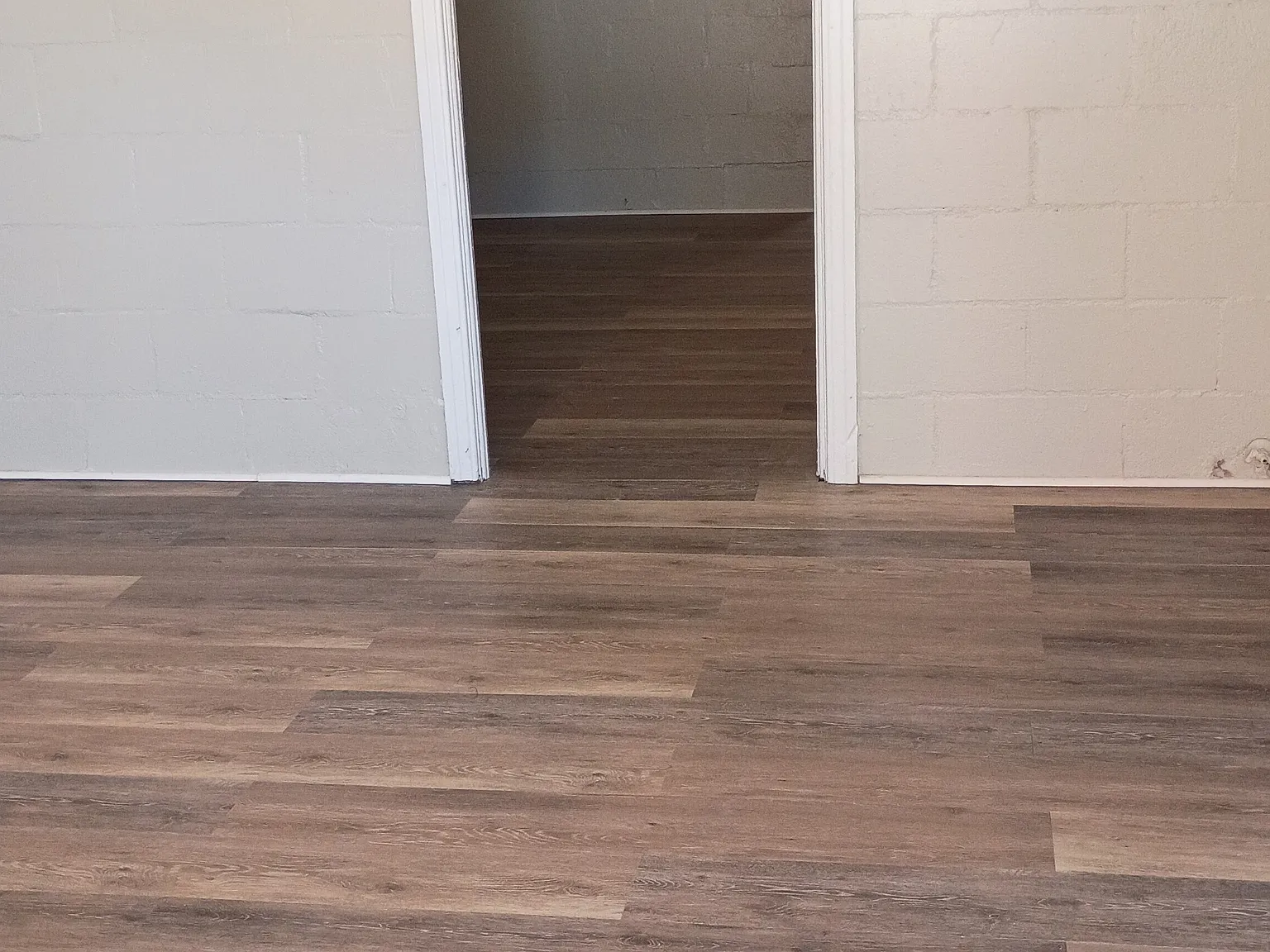 1 bed, $700 — Photo 3
