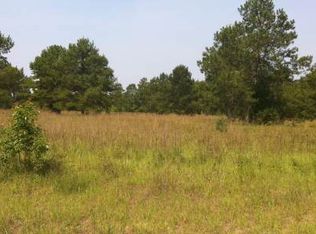 Lot Sw Sunview Street, Fort White, FL 32038