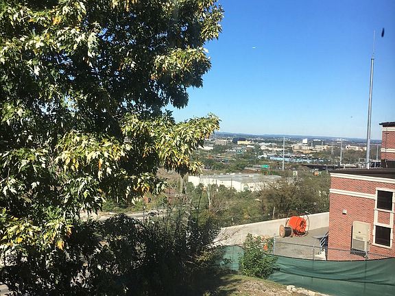 Views of Meadowlands