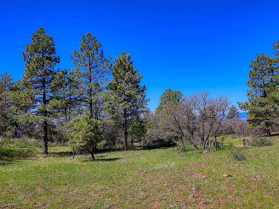 3rd image of 3367 Ranchland Drive
