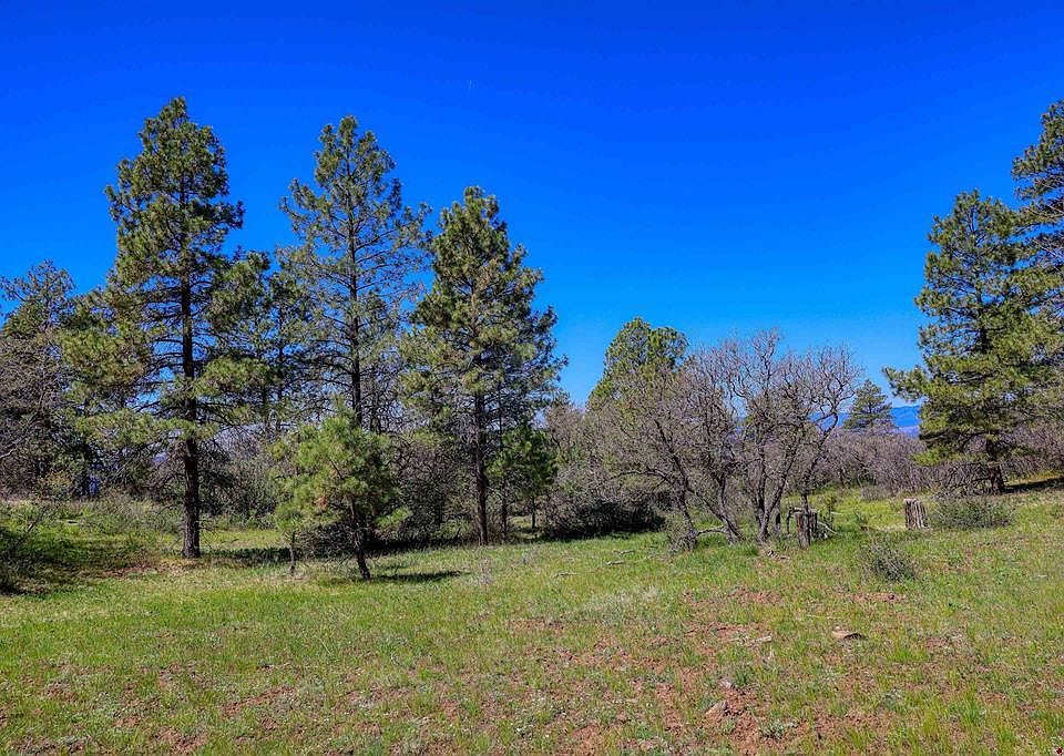 1st image of 3367 Ranchland Drive