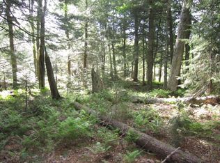 339 S Shore Acres Rd, Old Forge, NY 13420