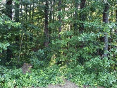 212 S Arendell Ave #11 & 12, Zebulon, NC, 27597