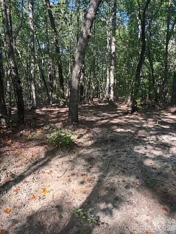 1st image of Bud Arndt Rd