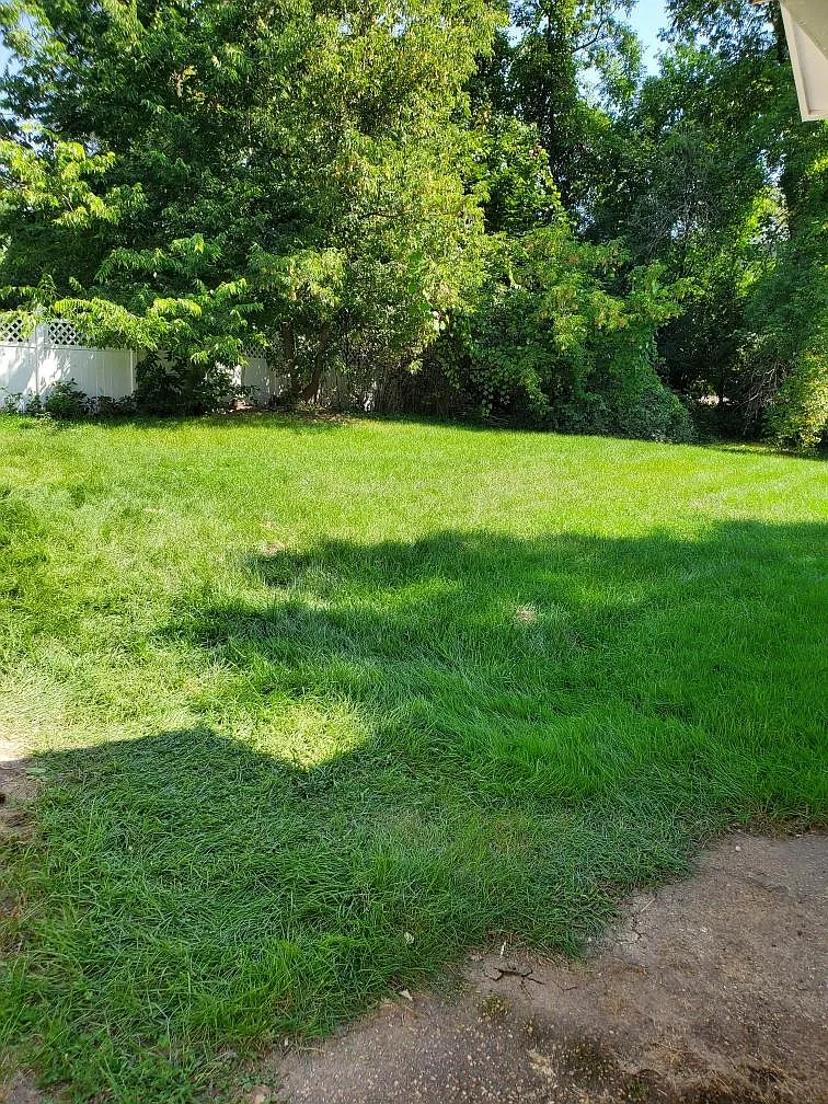 3 bed, $2,800 — Photo 3