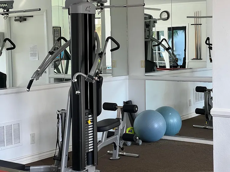 Gym has the Hoist Machine which is like a multi purpose trainer. Includes an App for your phone to record your workouts and provide videos for proper workouts.