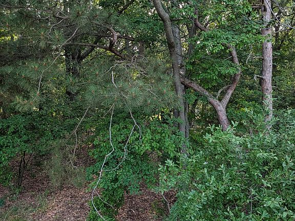 4th image of Ramona Dr Lot 14