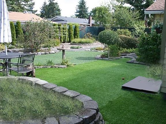 Back yard (looking East)