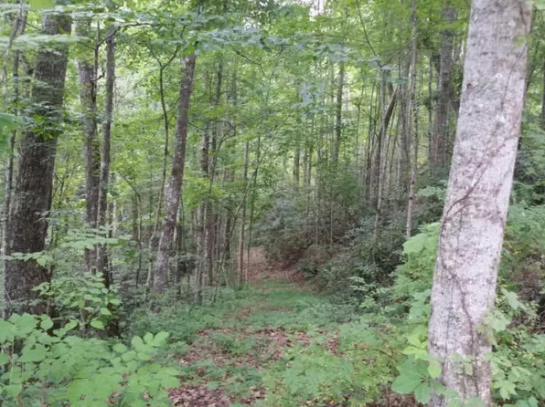 Walnut Flats Rd, Walland, TN 37886