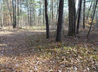 8706 S Linden Ave, Newaygo, MI 49337