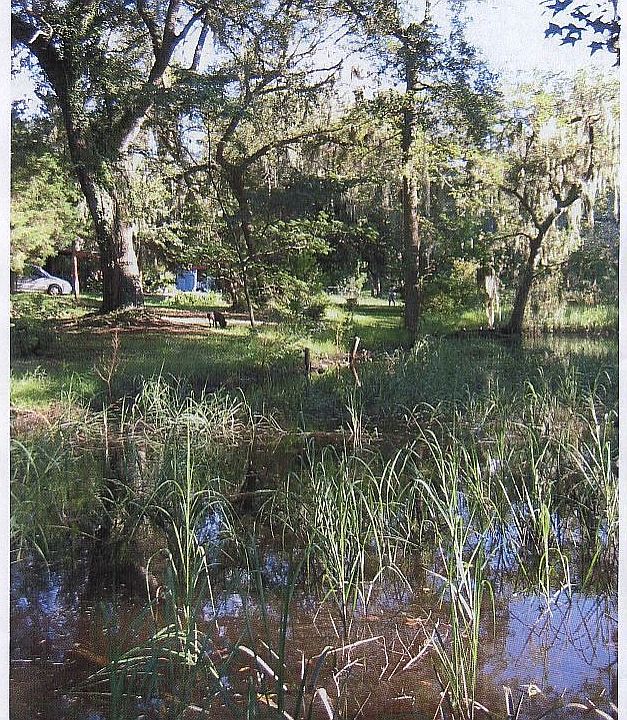 Tidal Inlet & ECO System and Pond