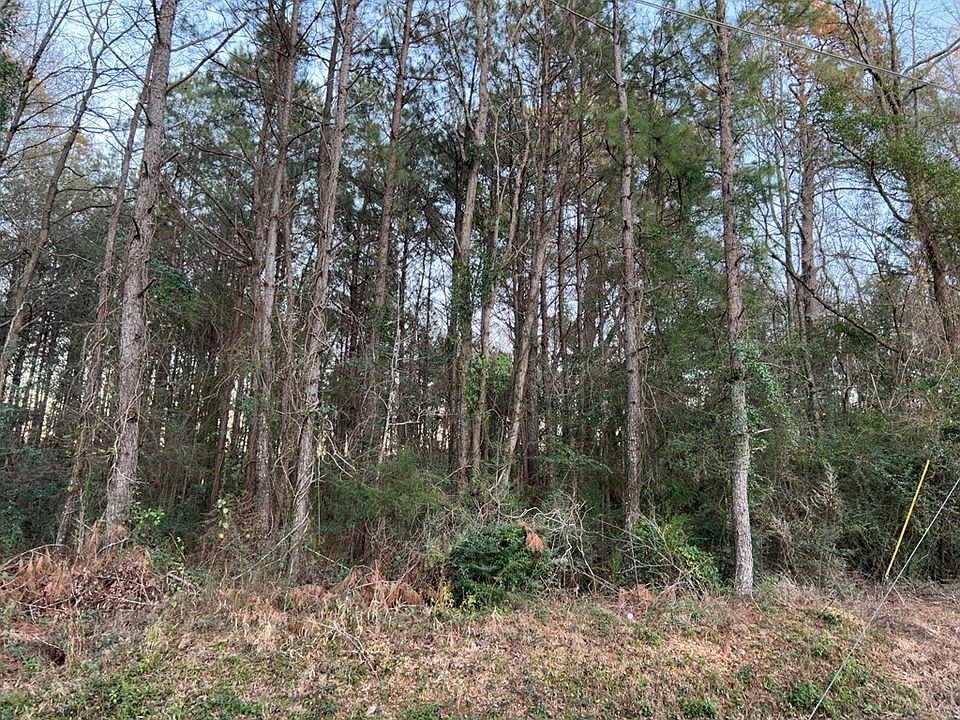 2nd image of 0 Ellisville Blvd