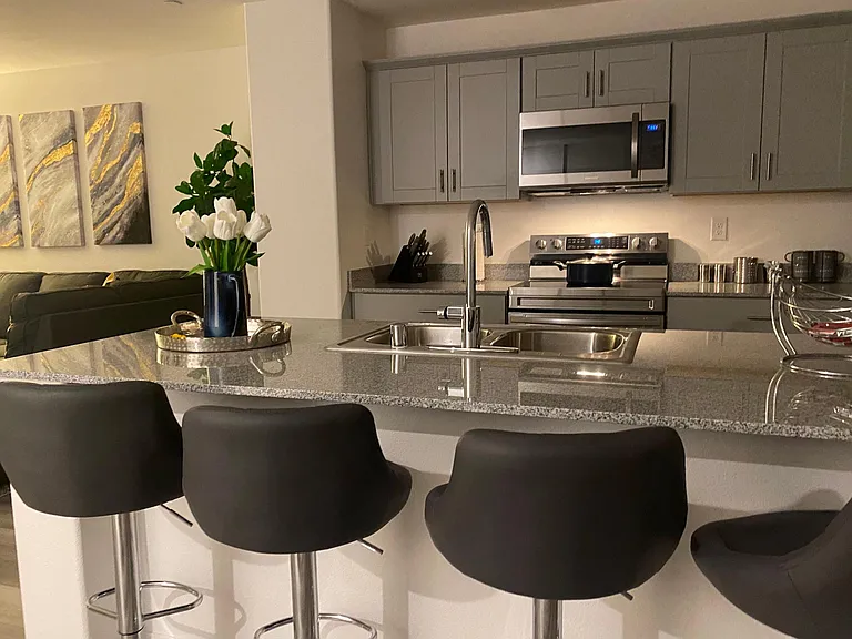 2828 Mosaic Moon Ln — Photo 42