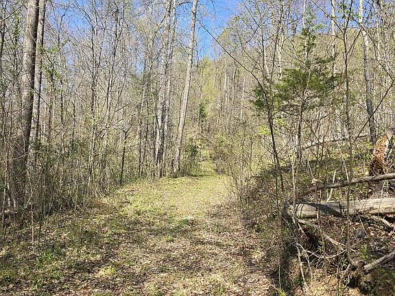 5th image of LOT 2 S Fort Valley Rd