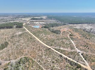 Roberson Town Rd LOT WP001, Jacksonville, GA 31544