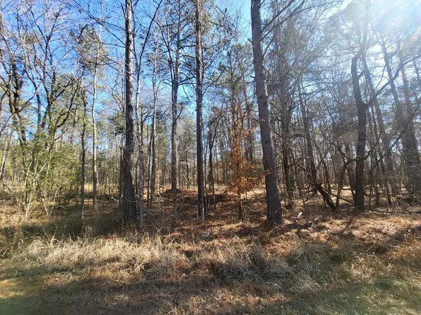 55 Island Creek Dr, Sparta, GA 31087