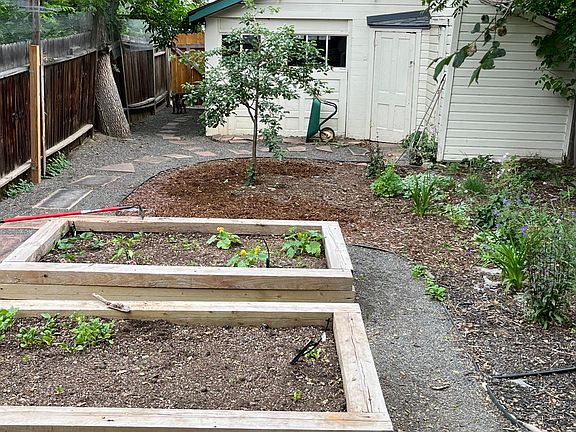 Backyard with shed, patio area off to the left not shown.