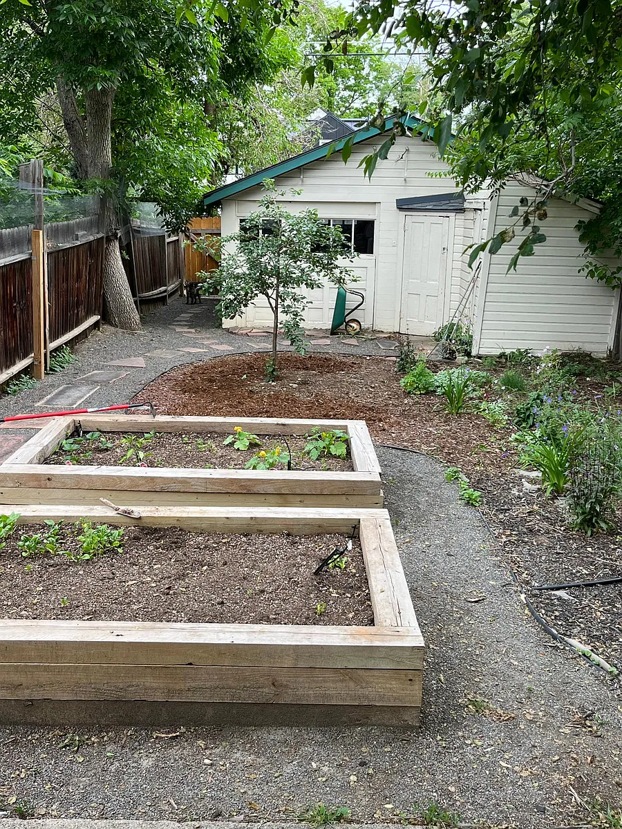 Backyard with shed, patio area off to the left not shown. - 1734 Pine St #B