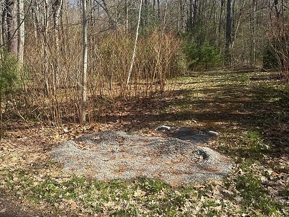 4th image of 0 Camp Rd