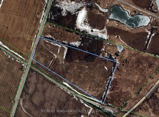 110 Mines Rd, Haldimand County, ON N3W 1X5