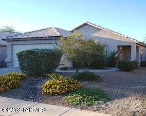 ChollaVista1