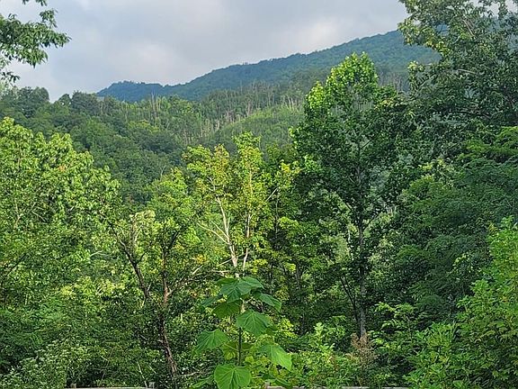 2nd image of 819 Pine Top Ln #73