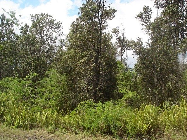 1st image of Paradise Pkwy Lot 36