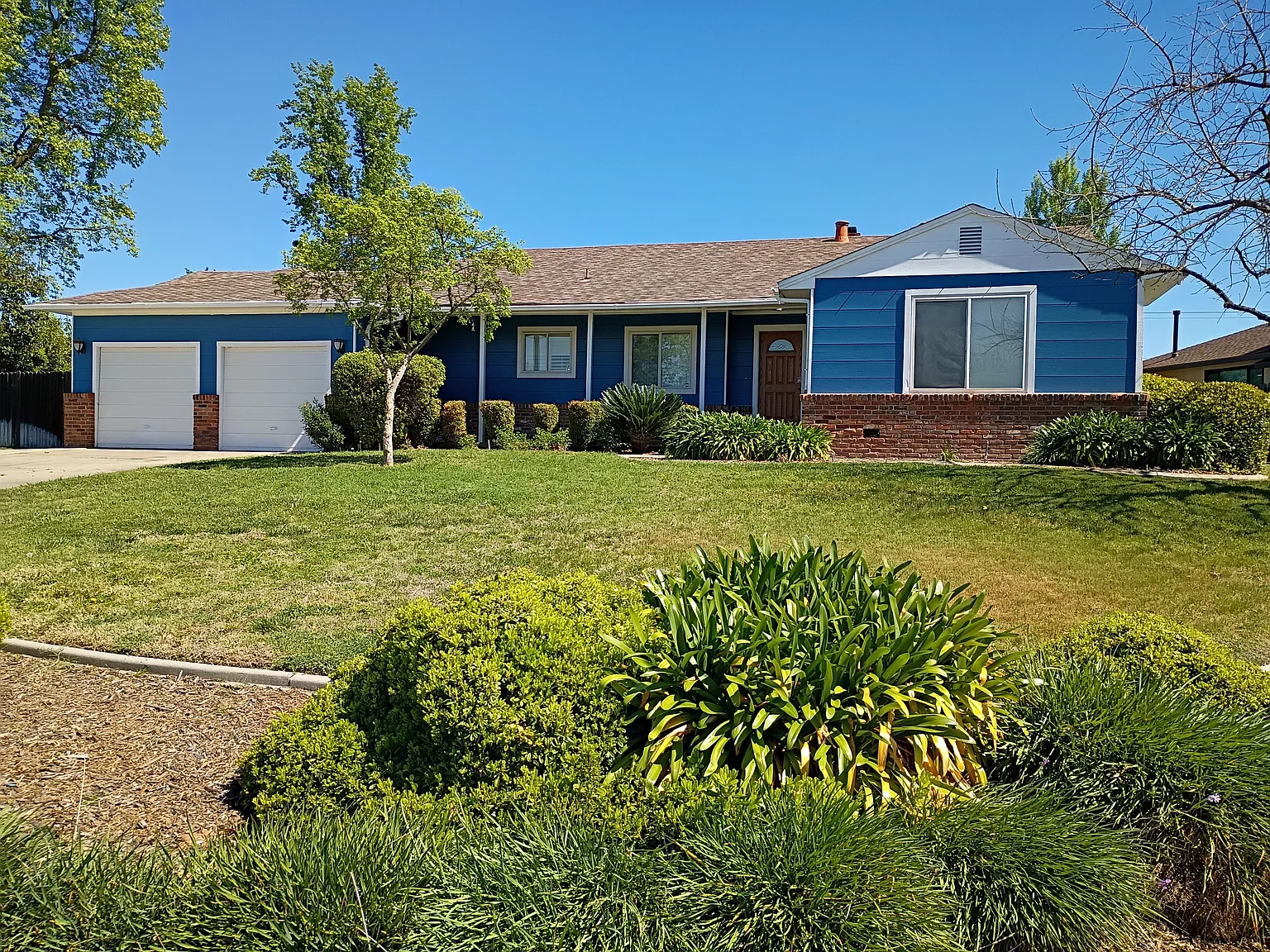 4530 Juno Way photo 1