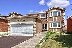 117 Yorkland St #BASEMENT