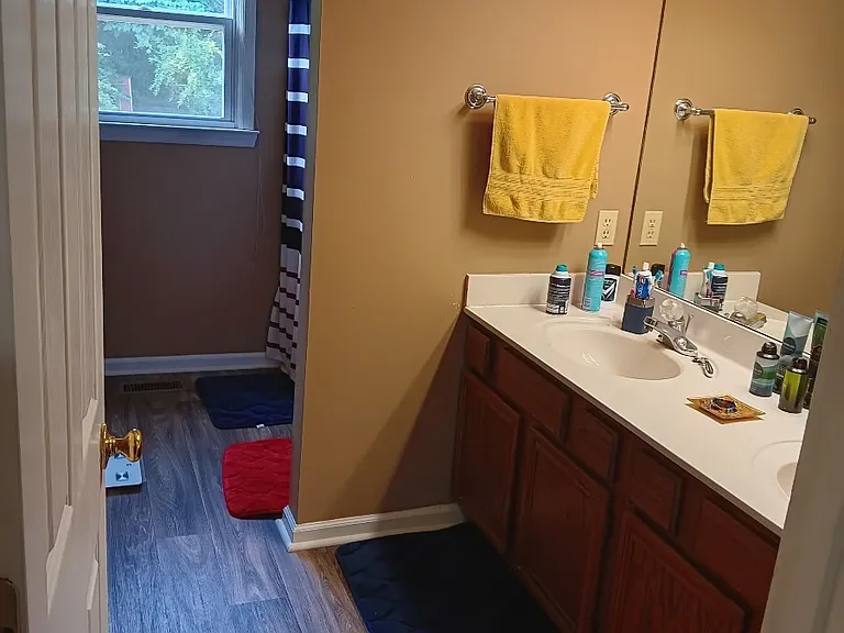 1529 Clear Brook Dr — Photo 9