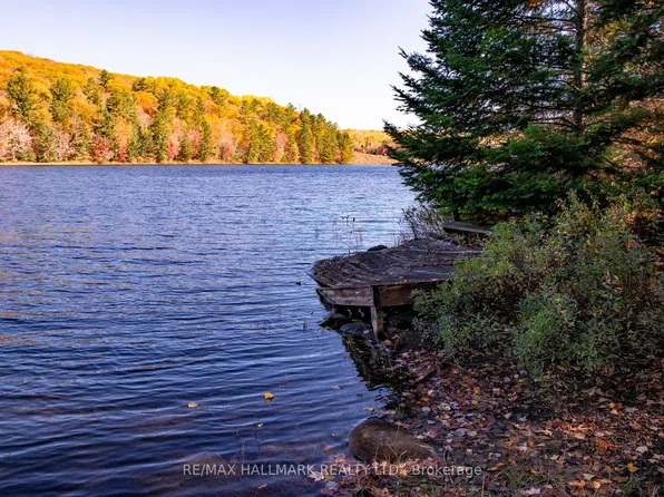 3517 Haliburton Lake Rd, Dysart Et Al, ON K0M 1S0