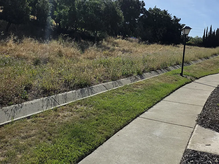 272 Galano Plz — Photo 24