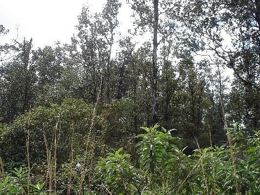 2nd image of Tradewind Dr Lot 50