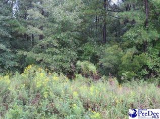 40 Ashland Rd, Mc Bee, SC 29101